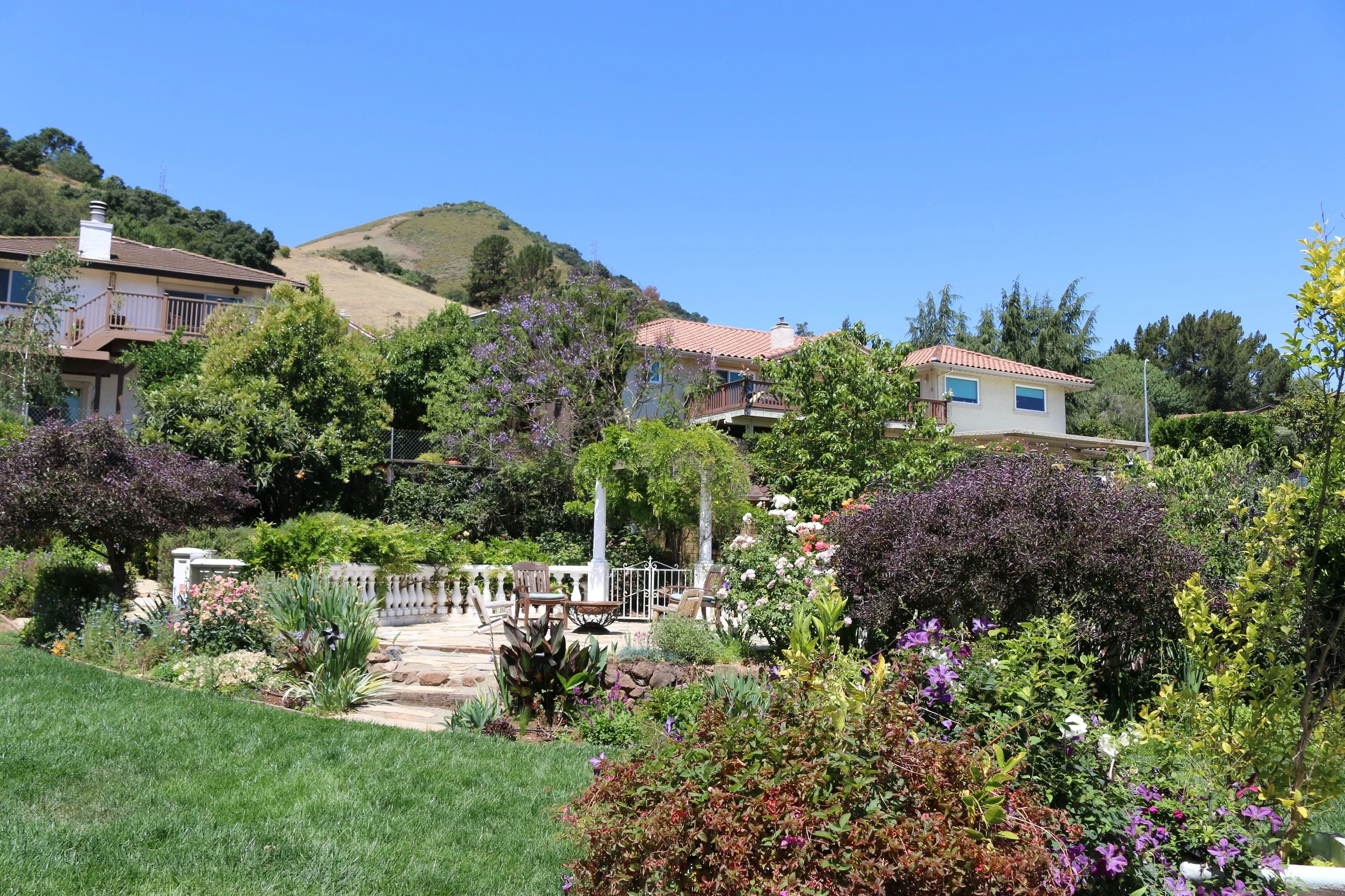 Backyard 1.jpg