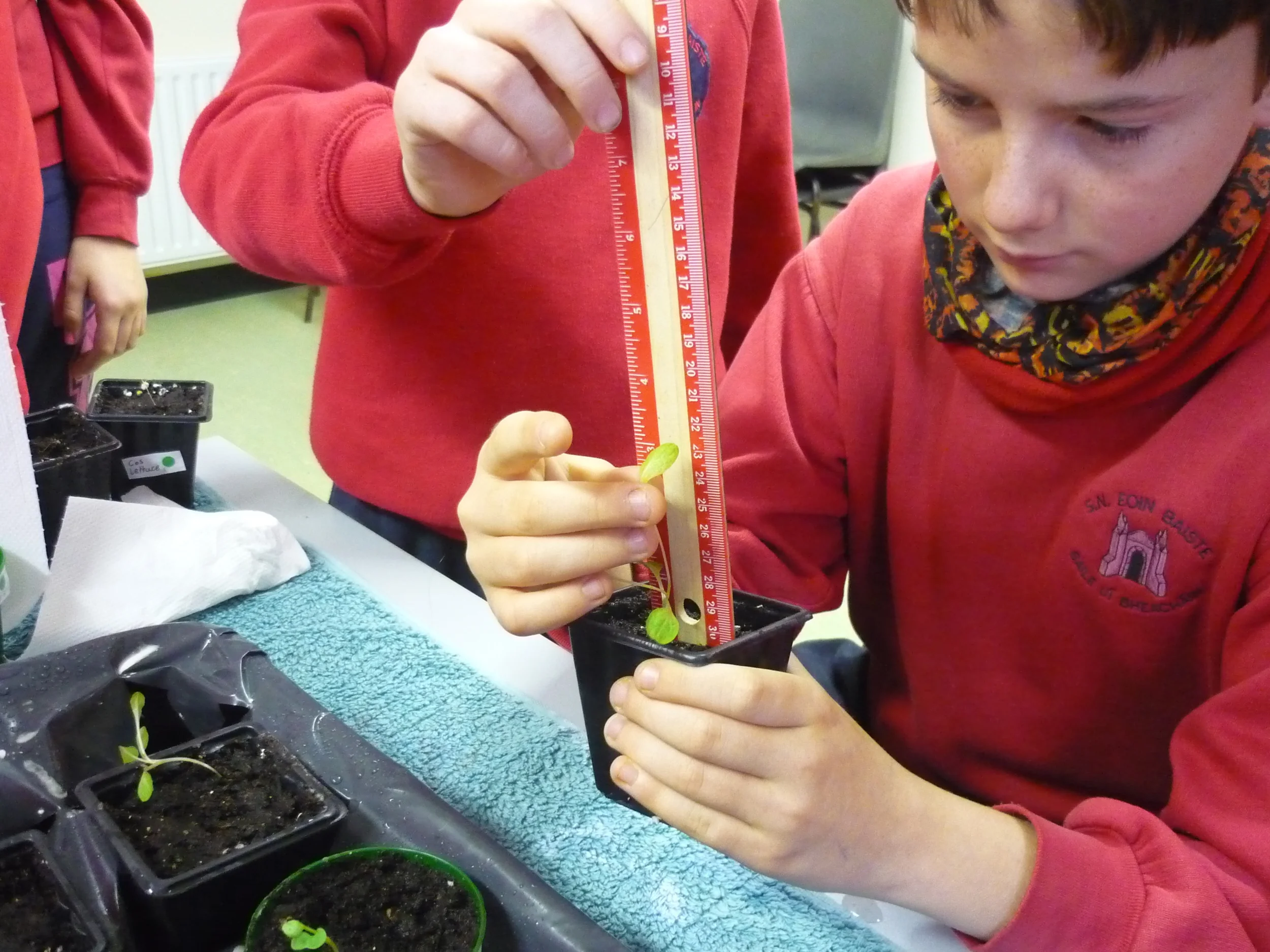 Students at Ballyvaughan National School