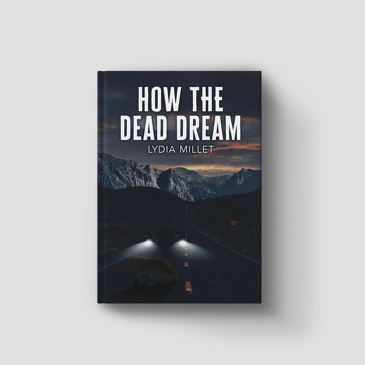How the Dead Dream sq.jpg