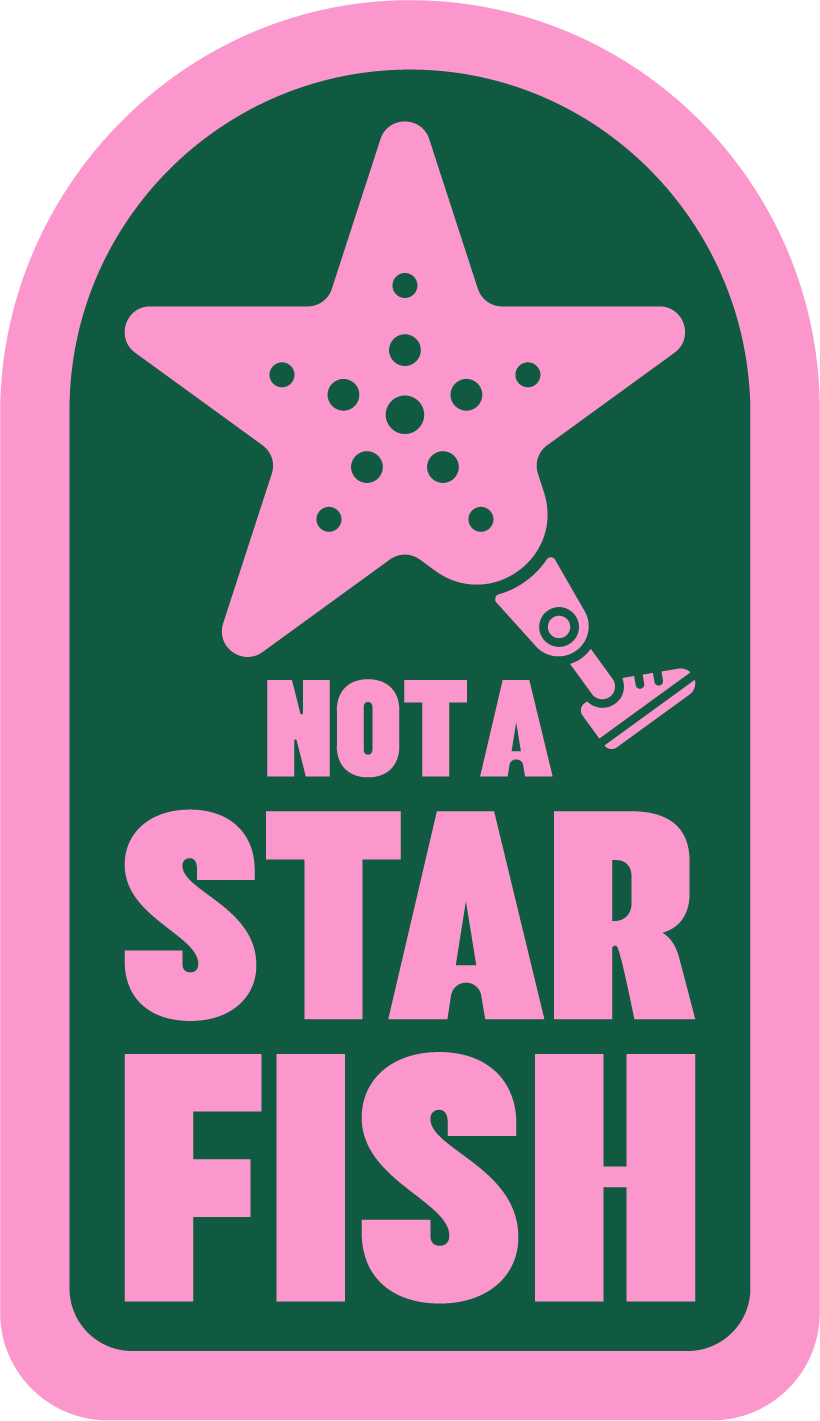 NAS Full Stack 1.png