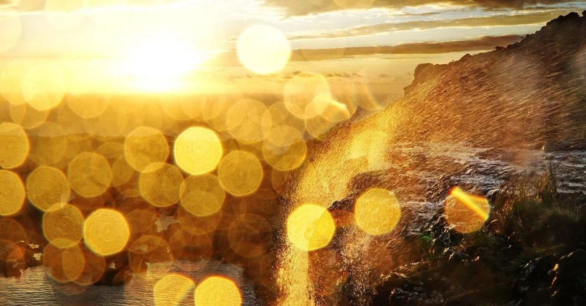 contest7640_banner.jpg