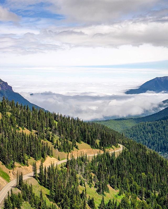 Road to cloud nine⛅️. #olympicnationalpark #pnwonderland #cloudnine #hurricaneridge #optoutside