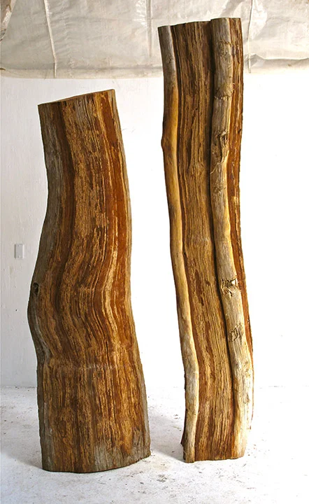 Bones