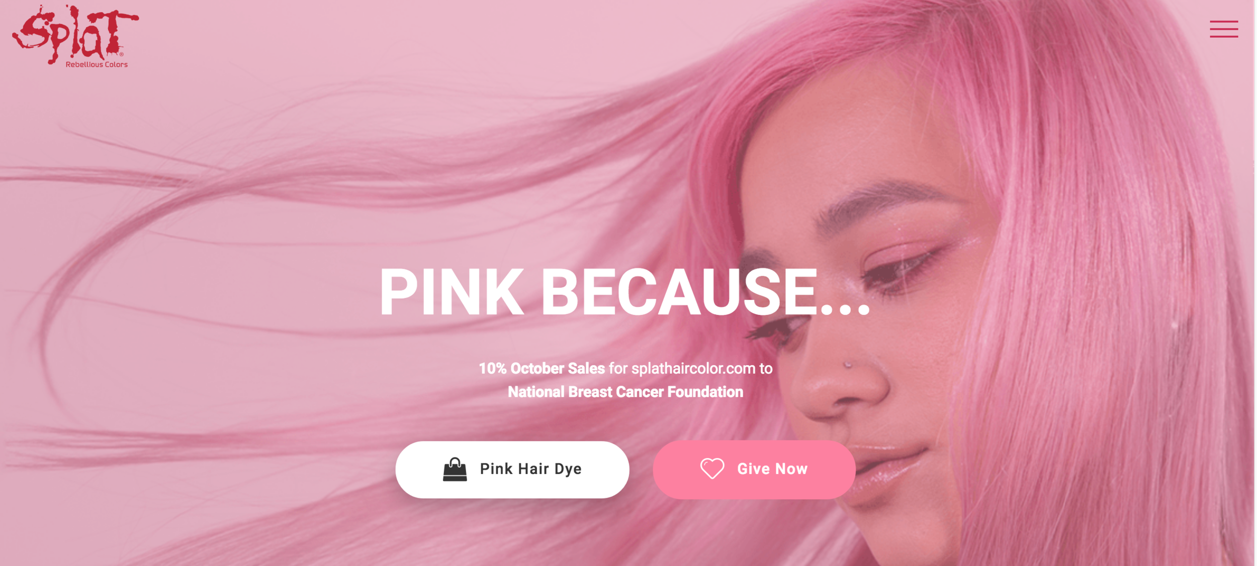 Screen Shot 2018-11-01 at 7.51.52 AM.png