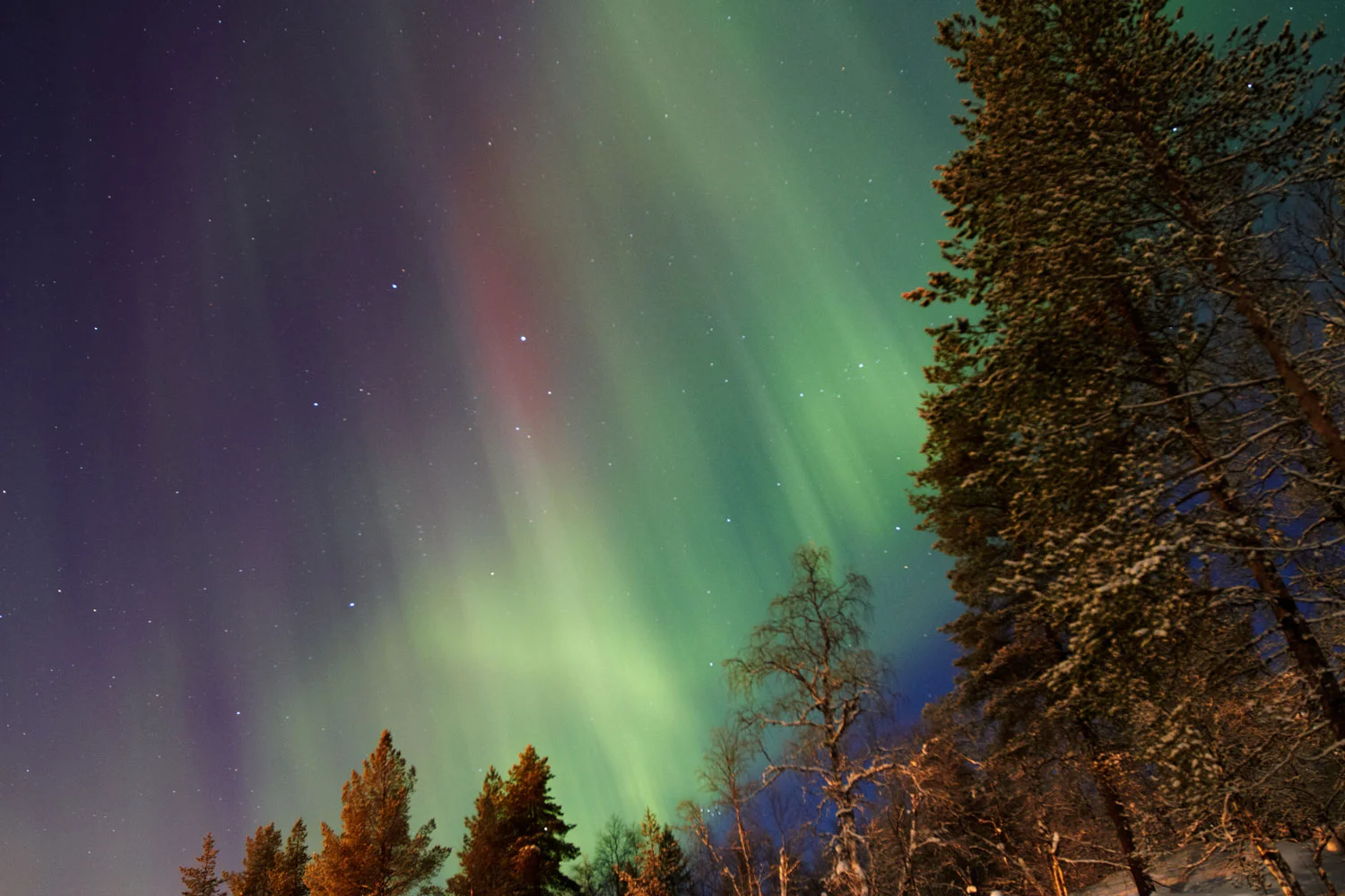 Northern Lights