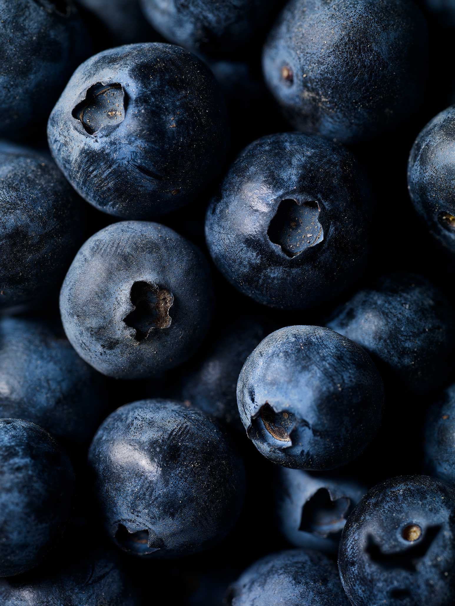 201206_Blueberries_01.jpg