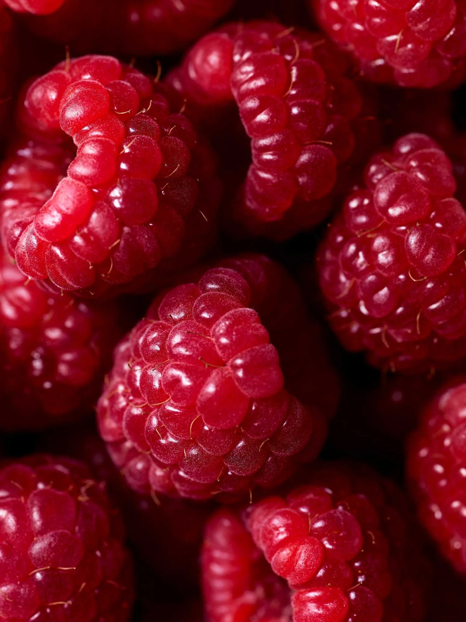201206_Raspberries_03.jpg