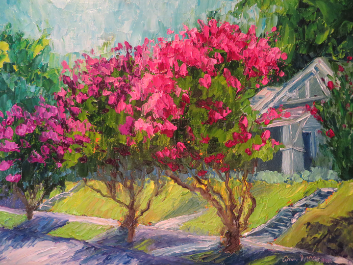 Hot Crape Myrtles 9 X 12 Oil by Ann McCann (c) 2015