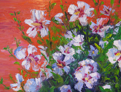 White Rose of Sharon 9 X 12 Oil $175 (c)Ann McCann 2015