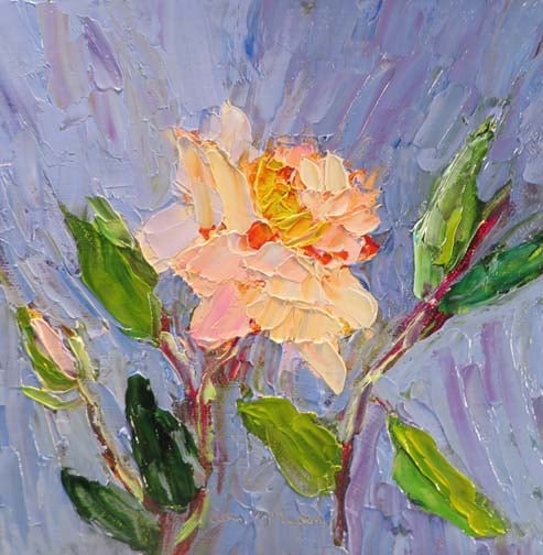 White Rose (c)Ann McCann 2016