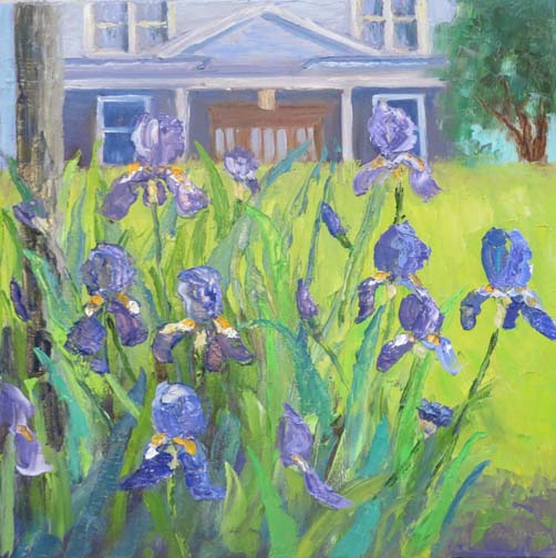 Irises in the Hood by Ann McCann (c)2016
