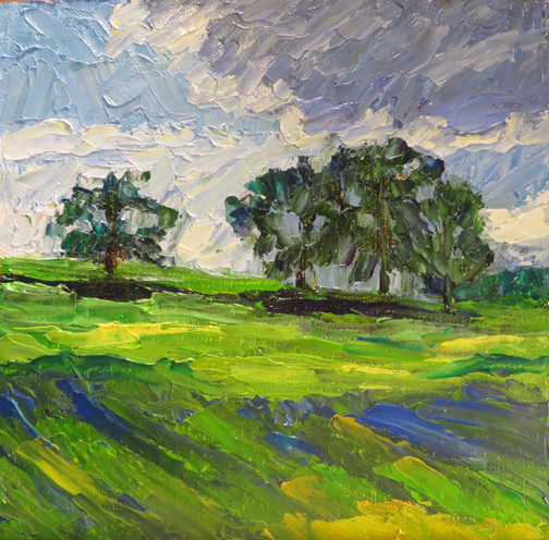 Coming Storm (c)Ann McCann 2016