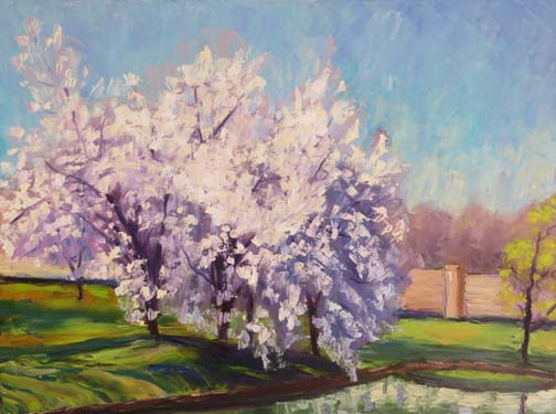 My Pear Trees by Ann McCann 18 X 24 oil (c)2017