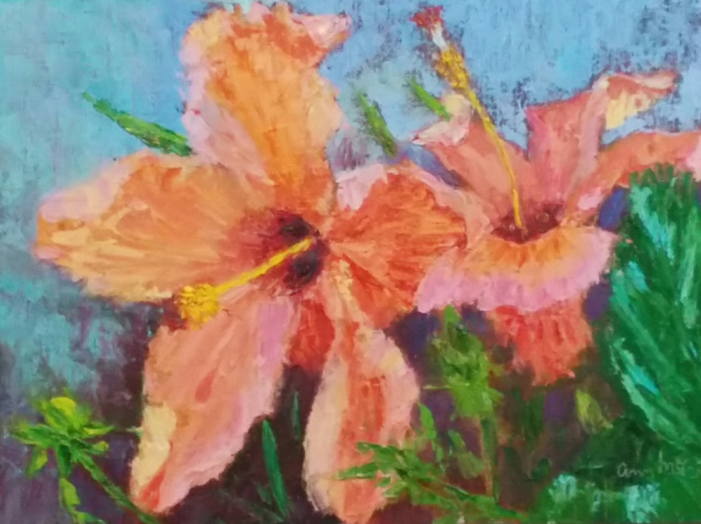 "Orange Hibiscus Duo" 9 X 12 Oil (c) Ann McCann 2017
