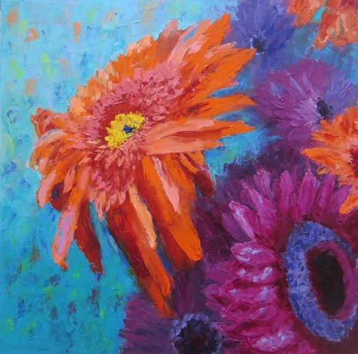 "Electric Gerbera Daisies" 20 X 20 Oil (c) Ann McCann
