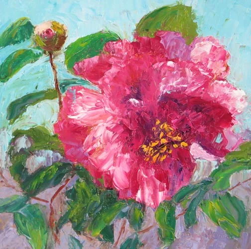 Pink & White Camillia 72 7.jpg