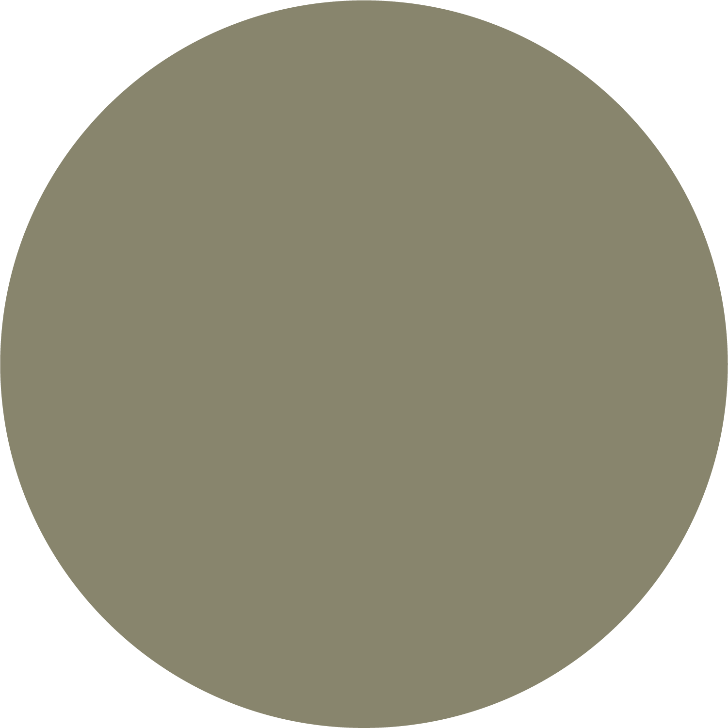 Light Olive