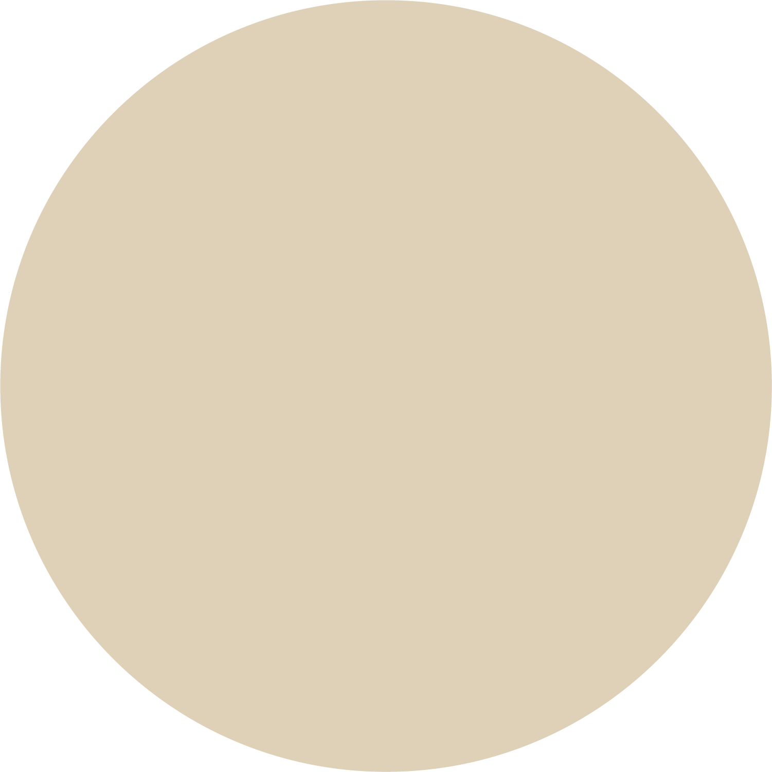 Soft Cream