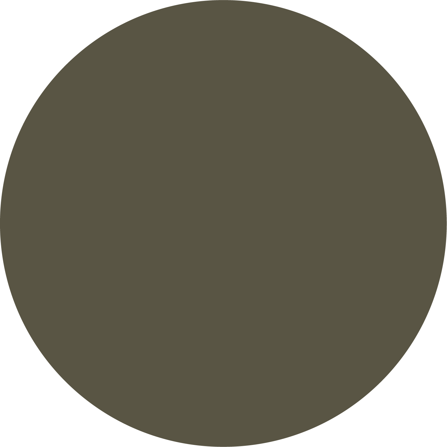 Army