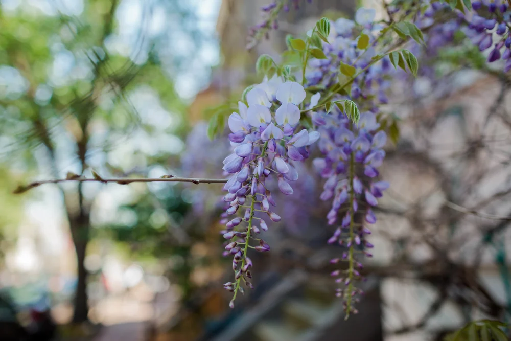 dcapril2016-1-3 2.jpg