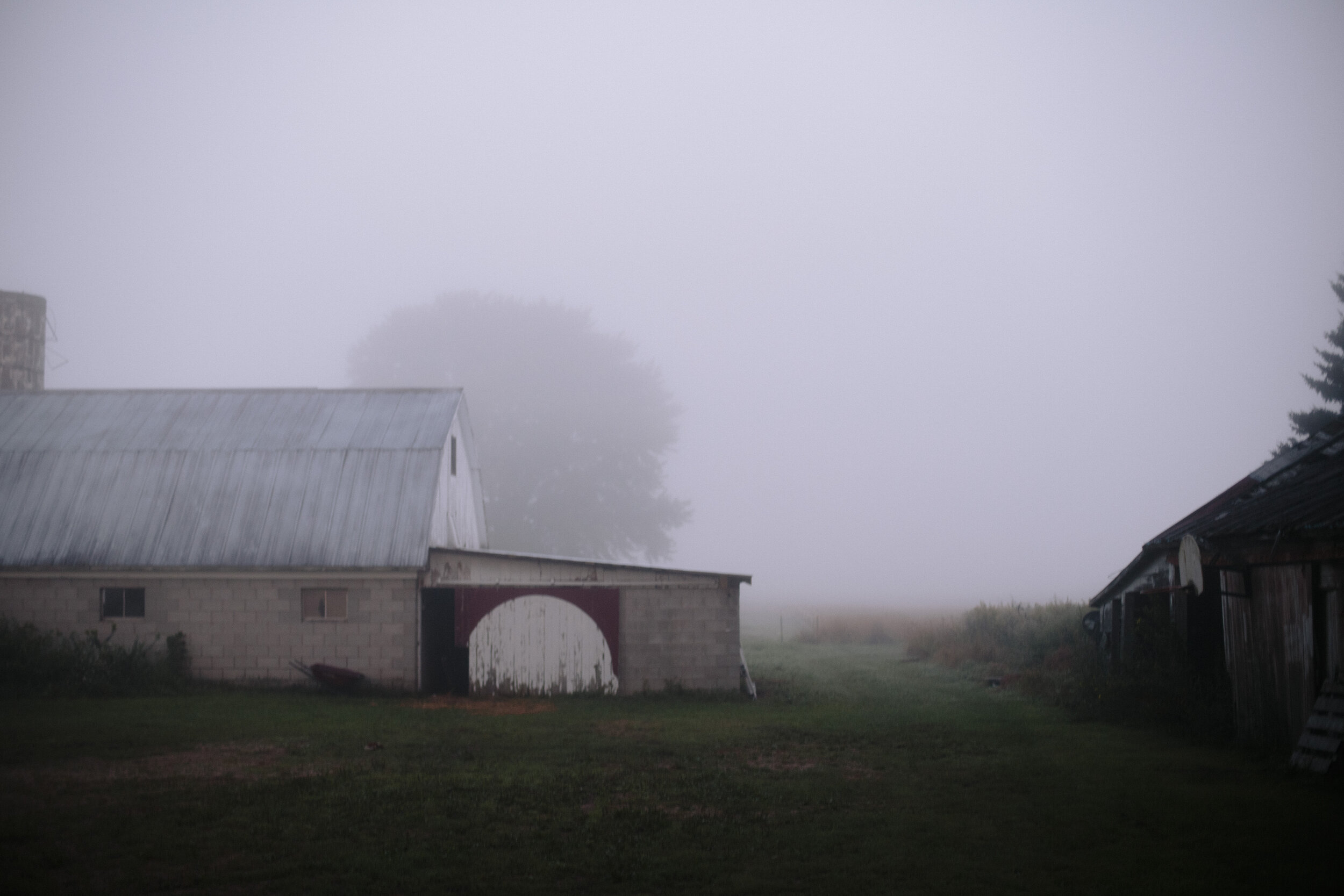  Northern MI fog.  