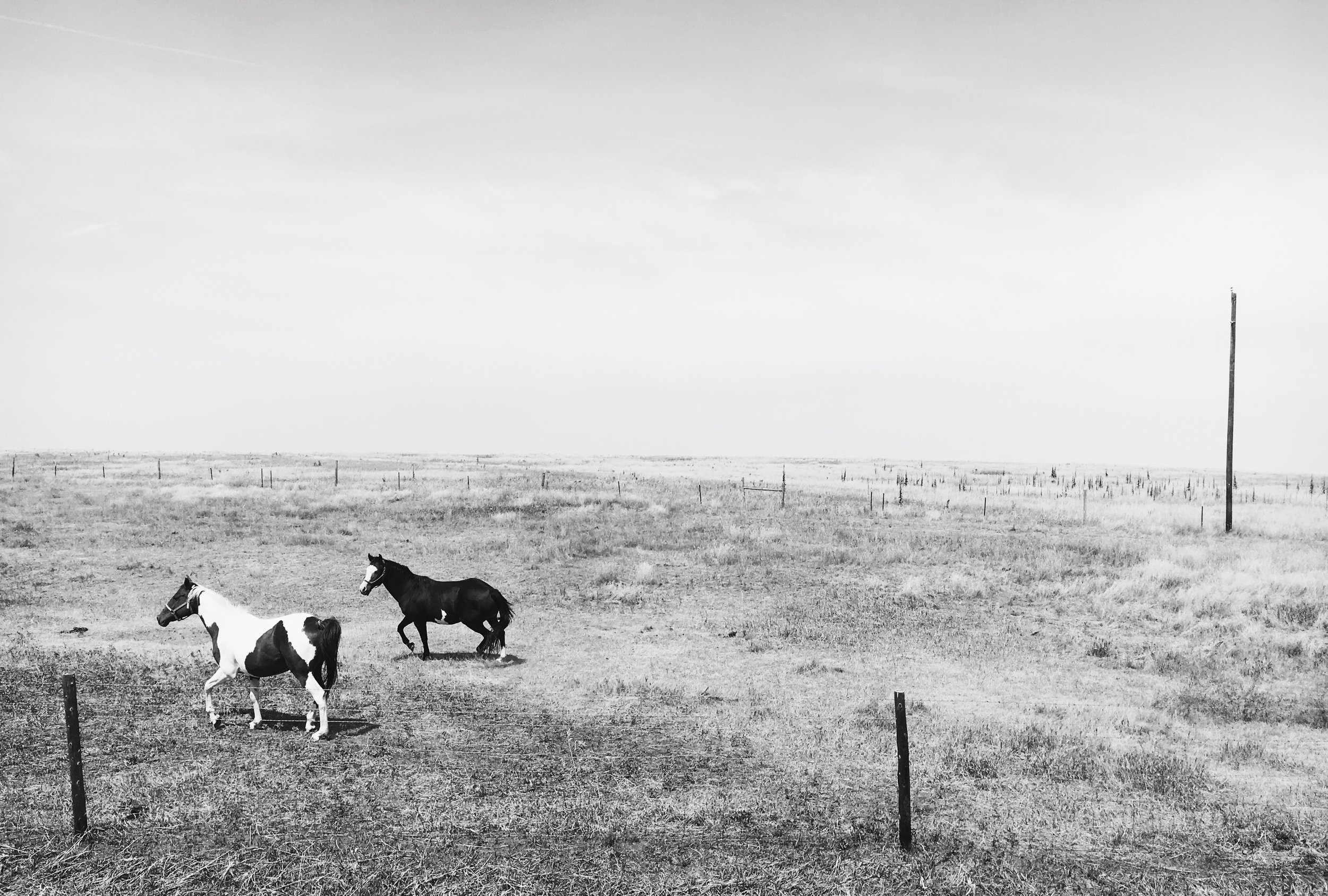  North Dakota, USA 