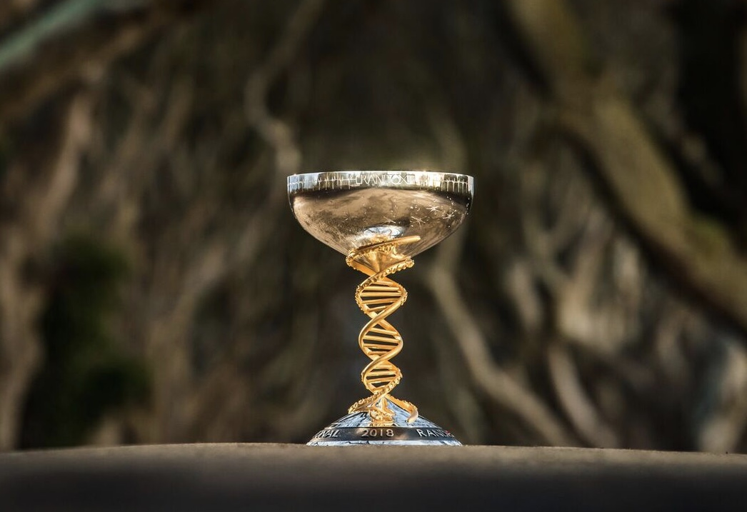Image by bradleyquinn.com