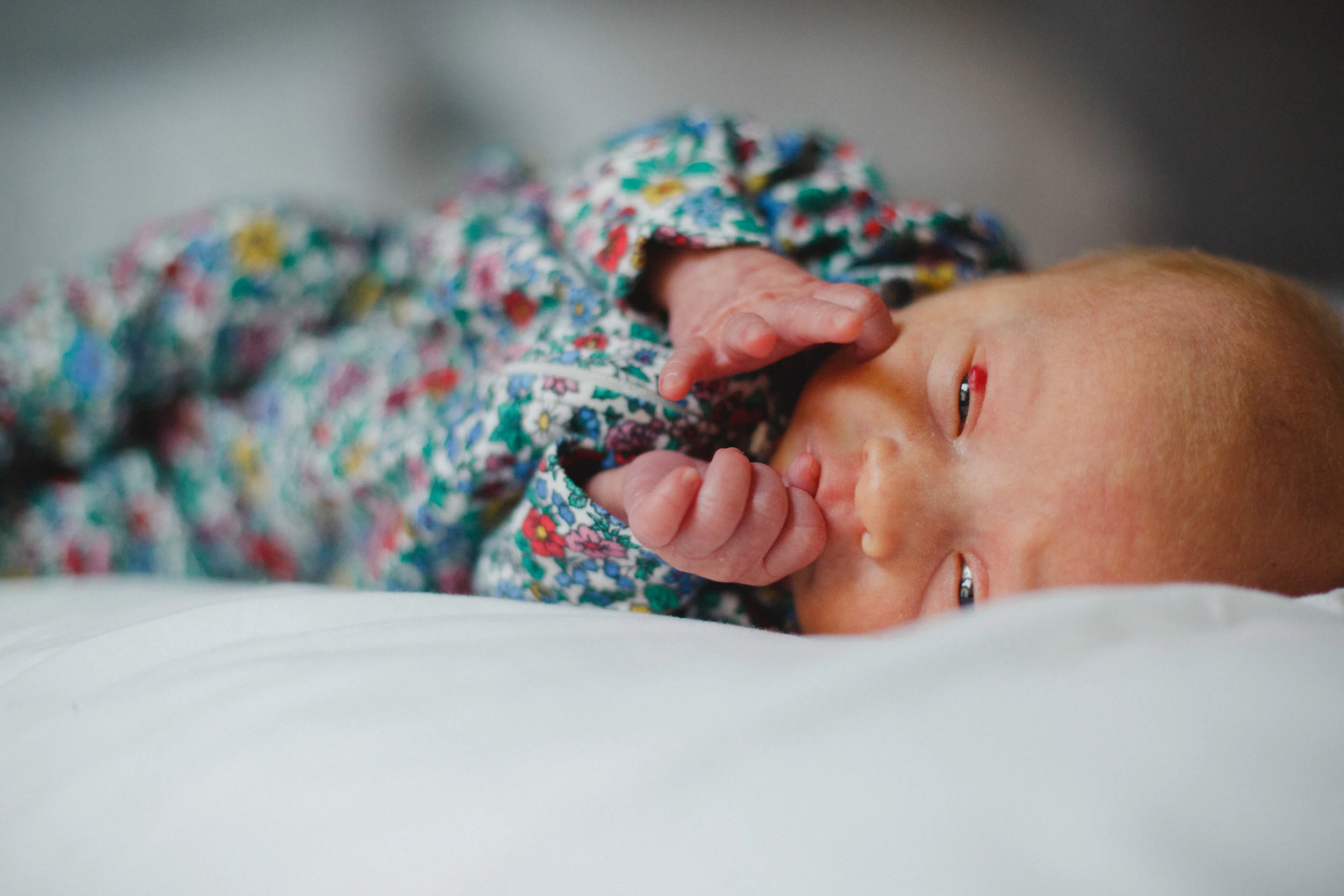 Quinn (40 of 56).jpg