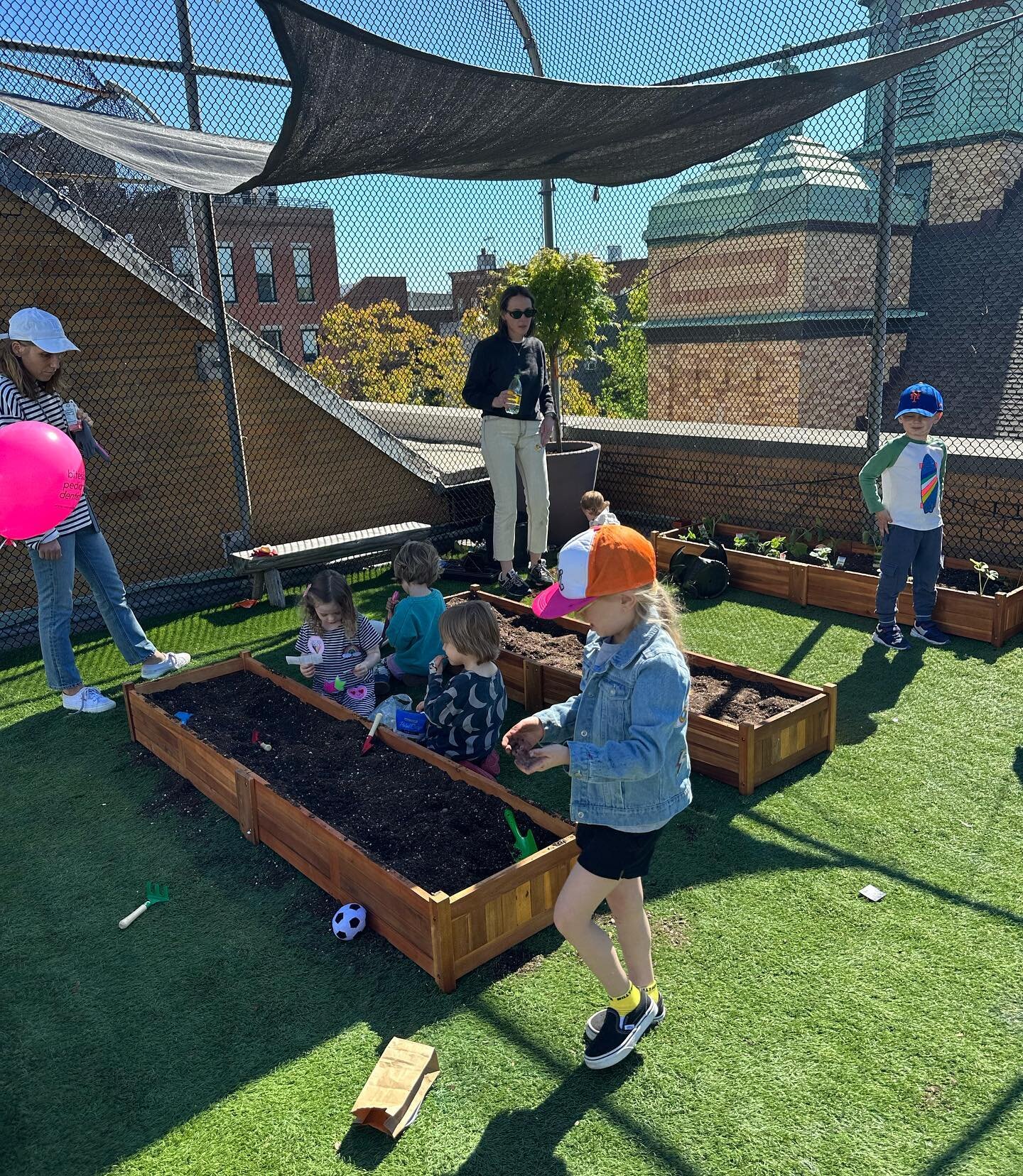 Preschool buddy planting event this past Saturday with Lower School and Mini Mastery Teachers was a HUGE success! Thank you to everyone who came out on this beautiful day to make the roof look so great!