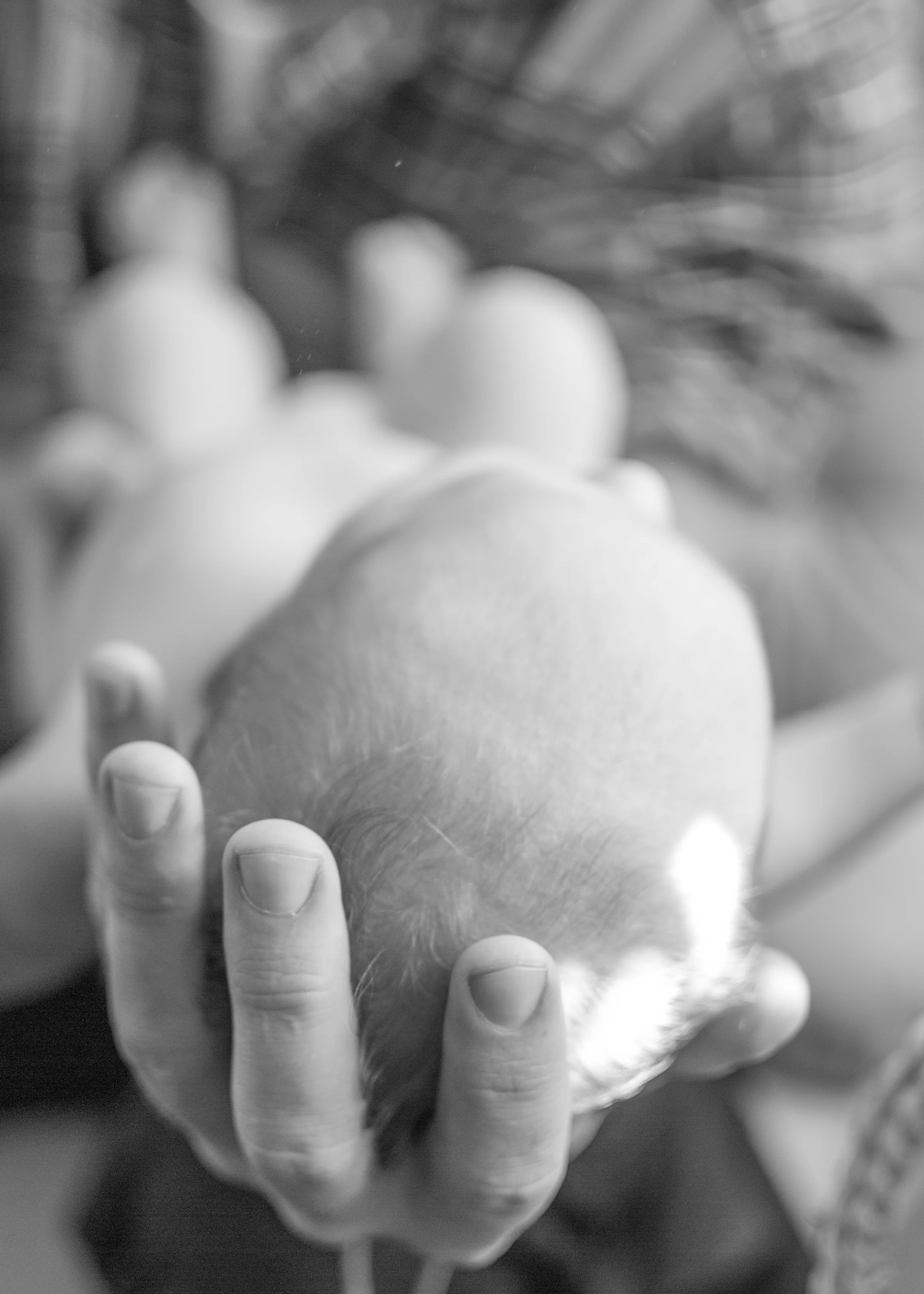Father with his world in his hand