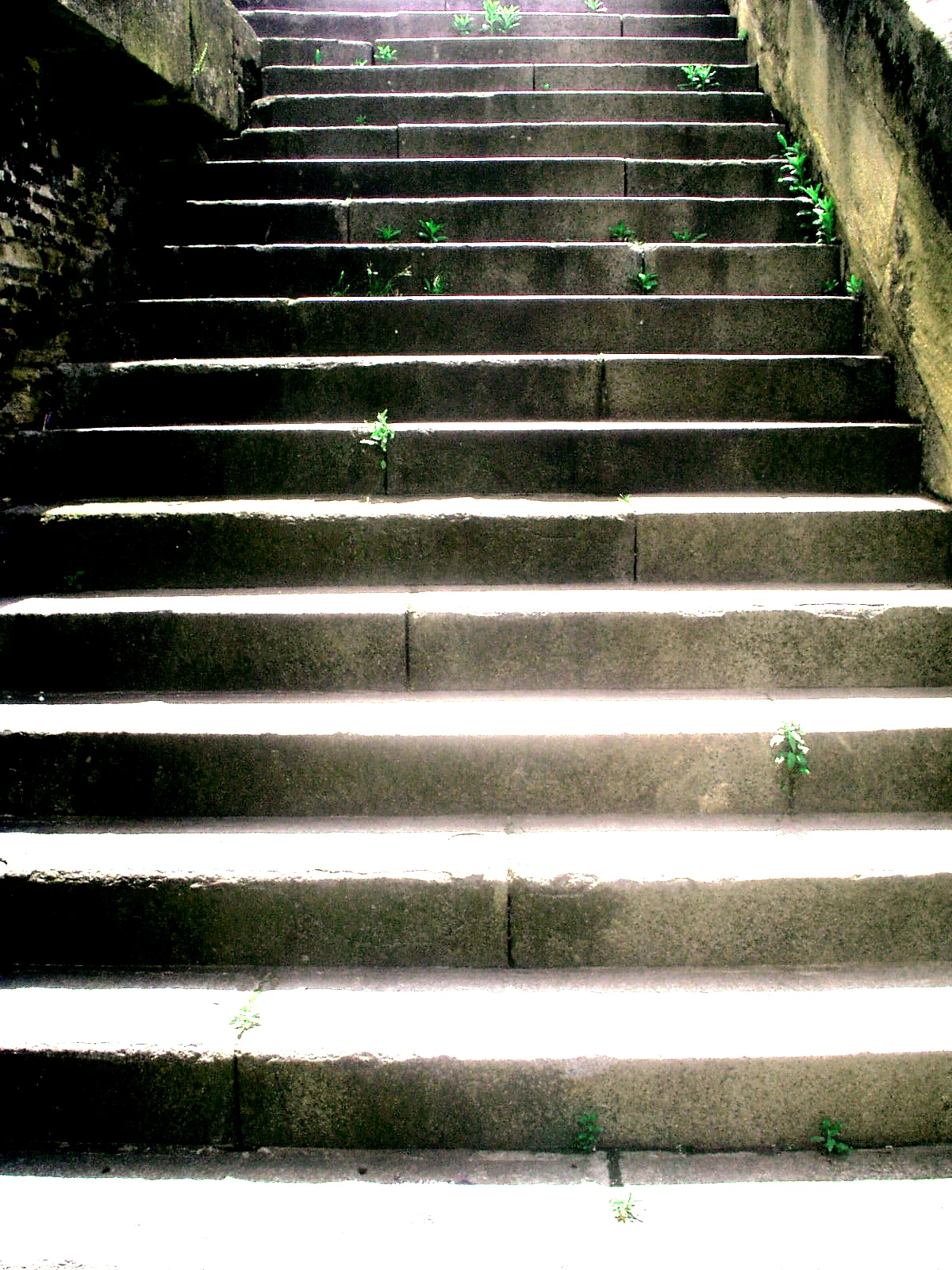 freeimages.com