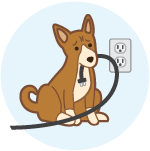 migrationerror_dog-04.png