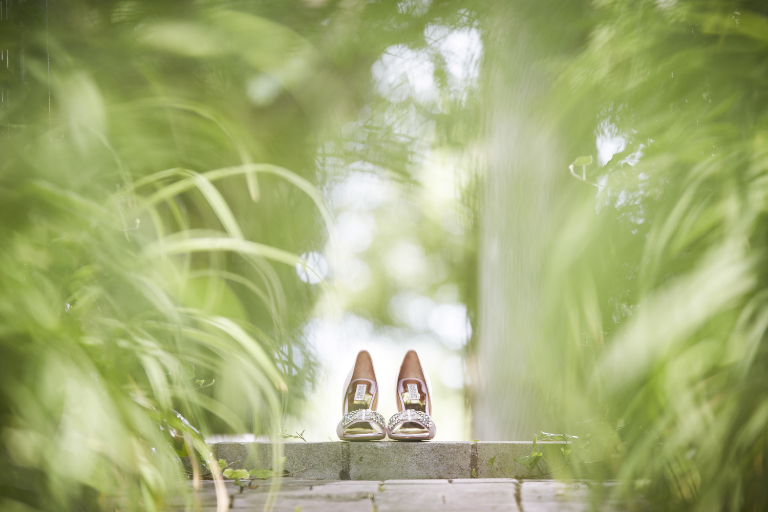 Mary Tinnon & Clint Fryberger - Historic Potter Farm - Wedding P