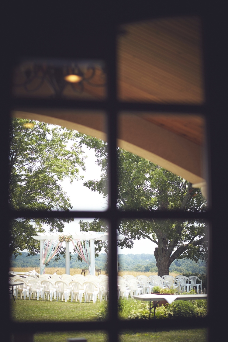 Ally & Thad - Vinyard Wedding Southern Illinois Wine Trail - Des