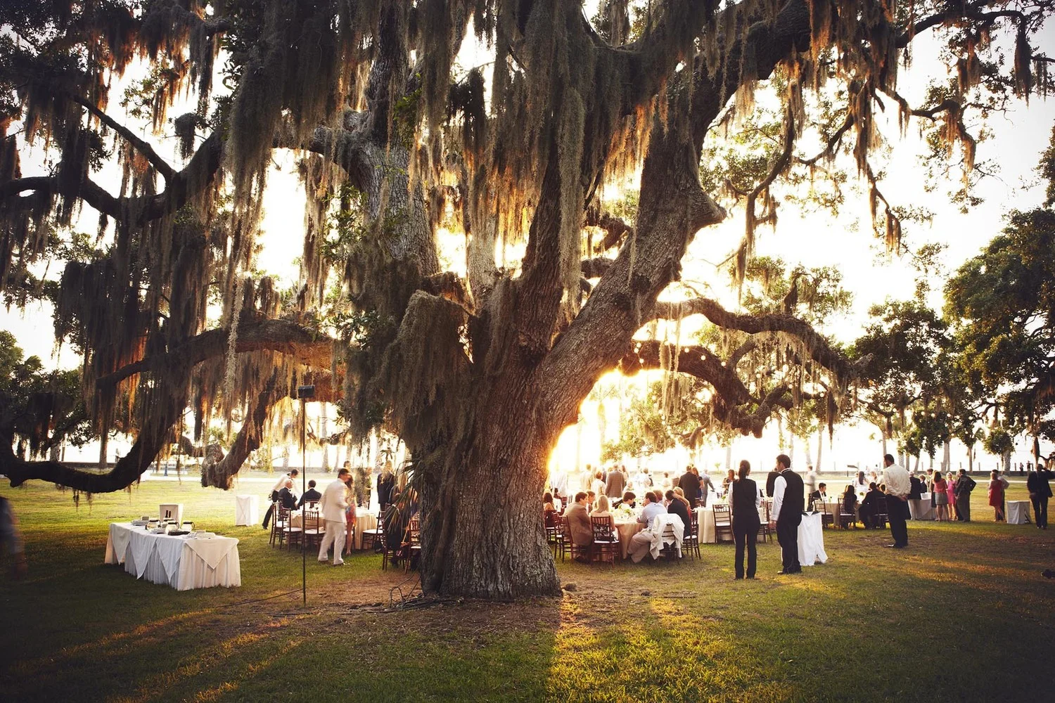 Lauren Leonard & Taylor Phelps - Destination and Travel - Weddin