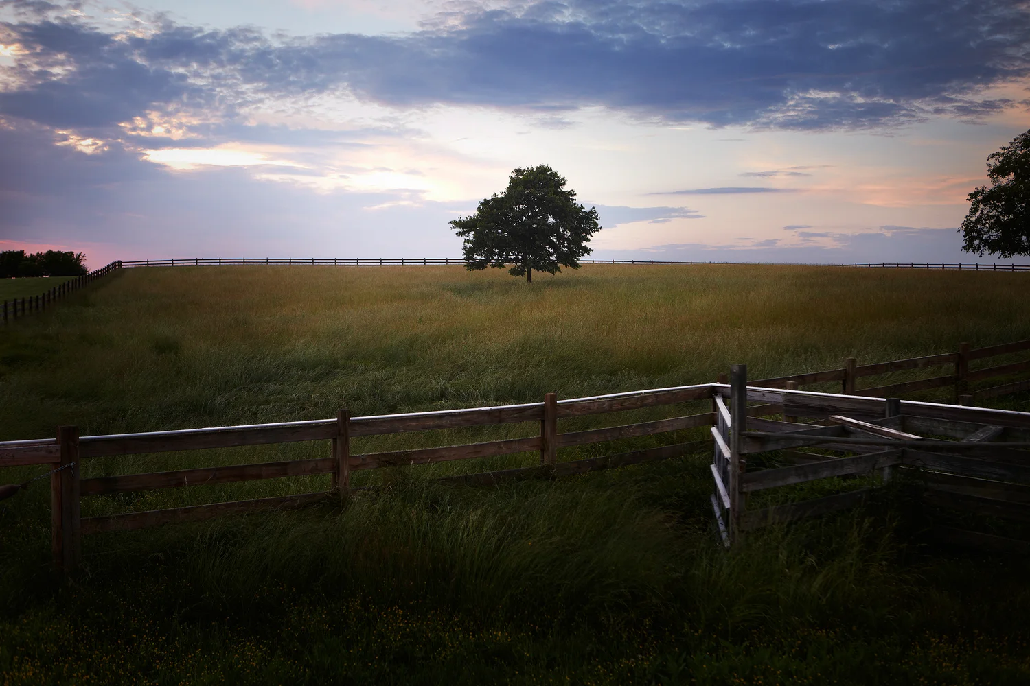 Farm Lanscape - Southern Illinois - Blue Sky Vinyard - Photograp