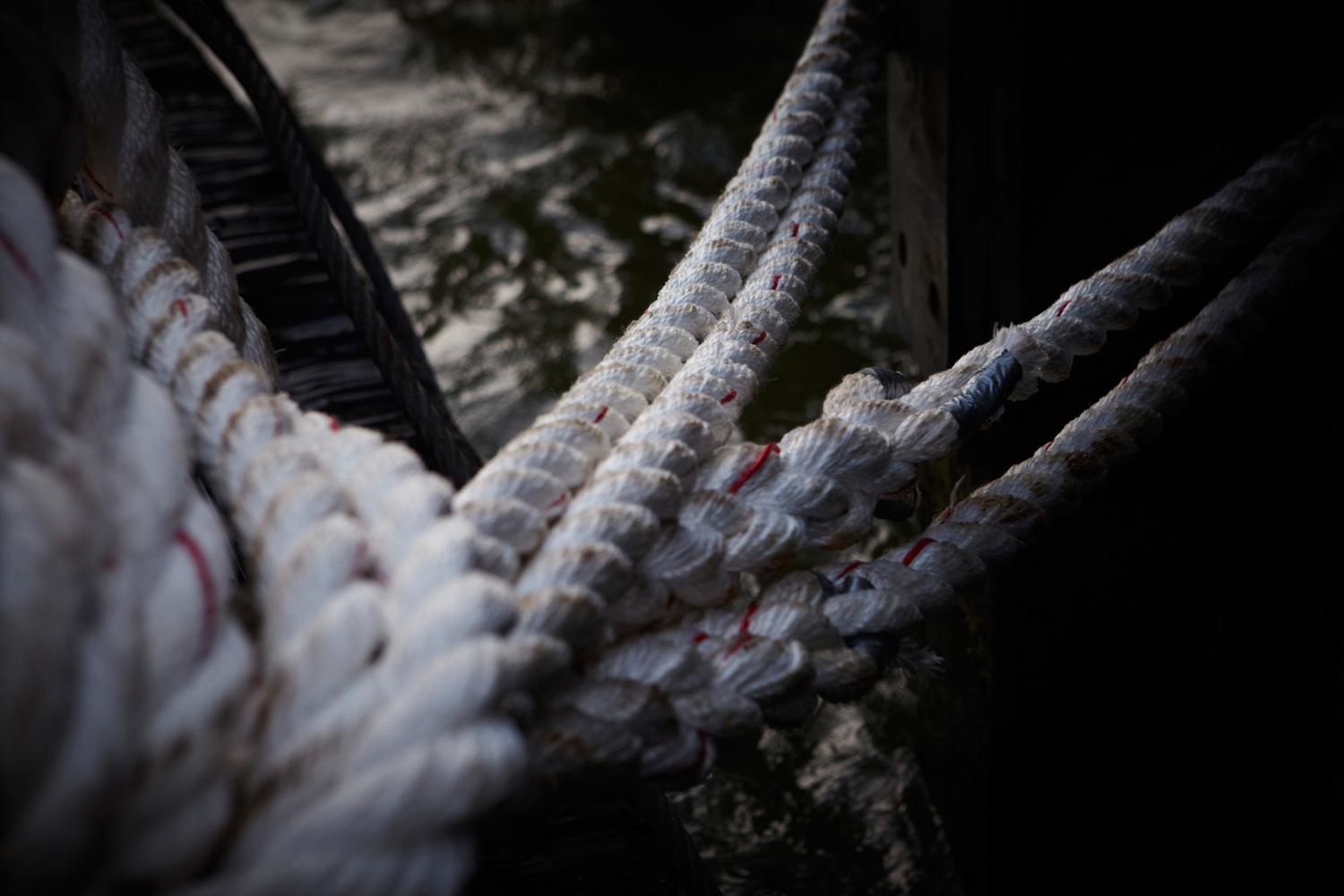 River & Ocean Fishing and Commercial industries - Photographer B
