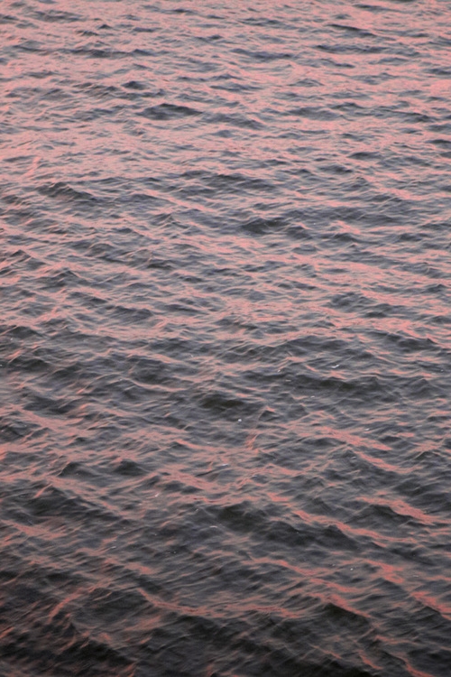 River & Ocean Fishing and Commercial industries - Photographer B