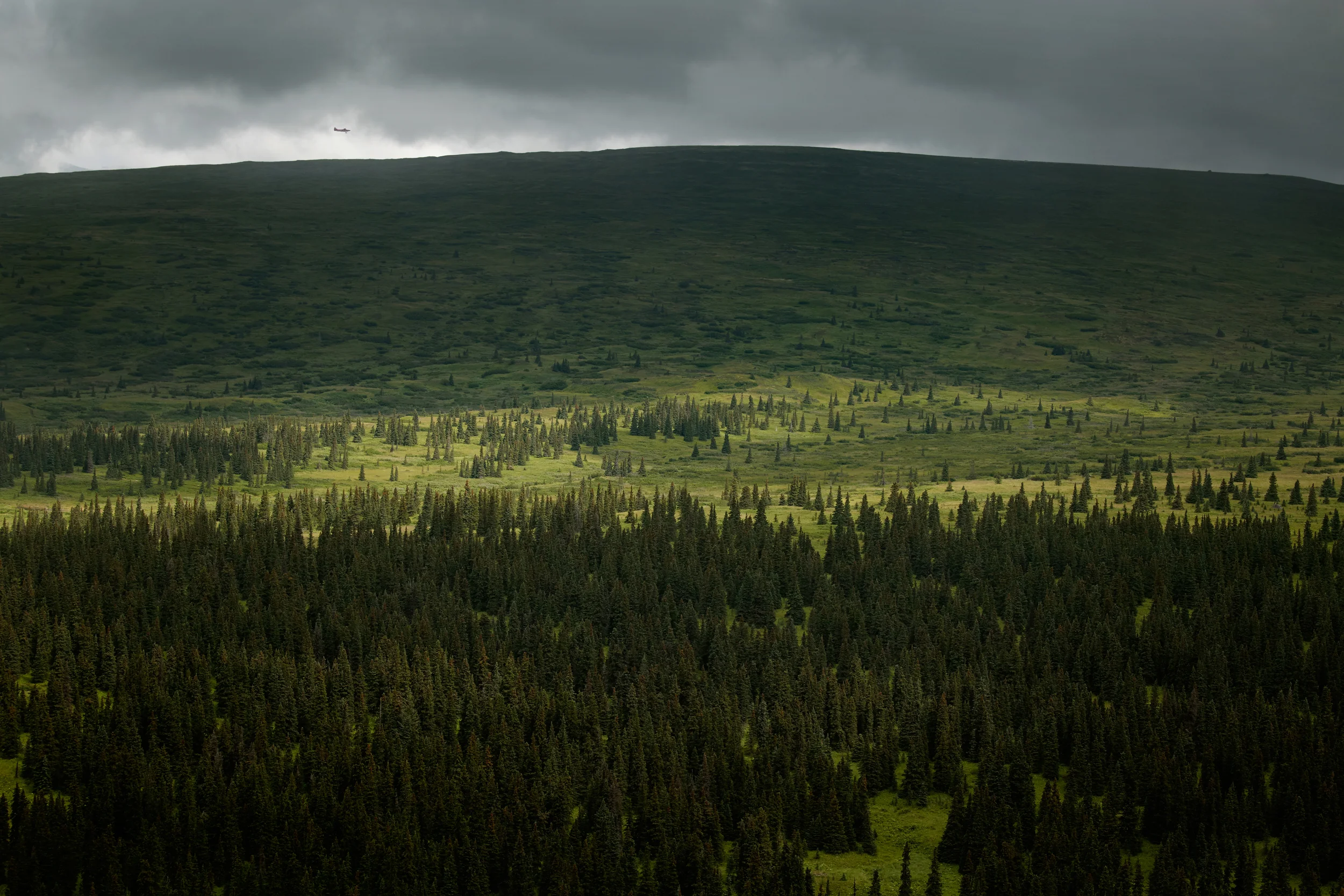 WORK With Plane - Aerial Tour - 7L3A5379 - Alaska Landscape.jpg