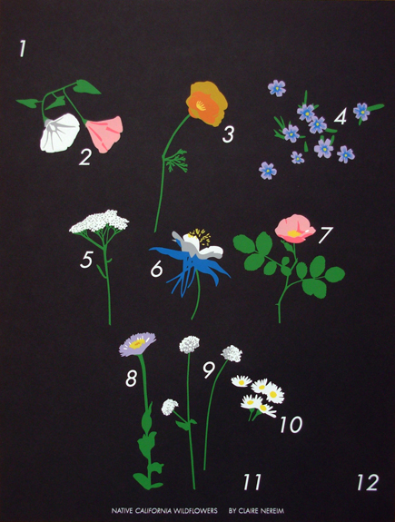 Native California Wildflowers , 25 x 19", SOLD OUT