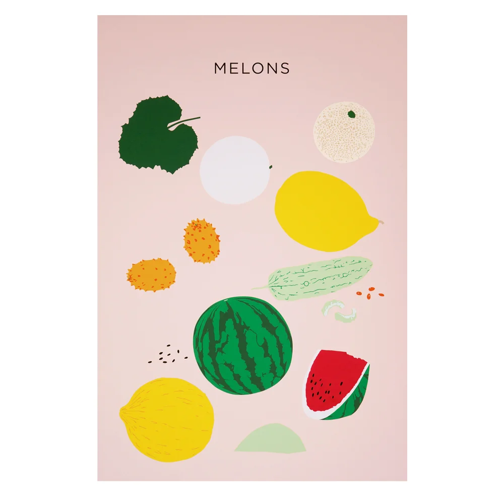 Melons Variation  Plant Planet