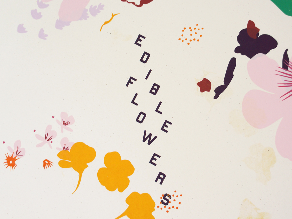 WS EF MONO 2 DETAIL 2.jpg