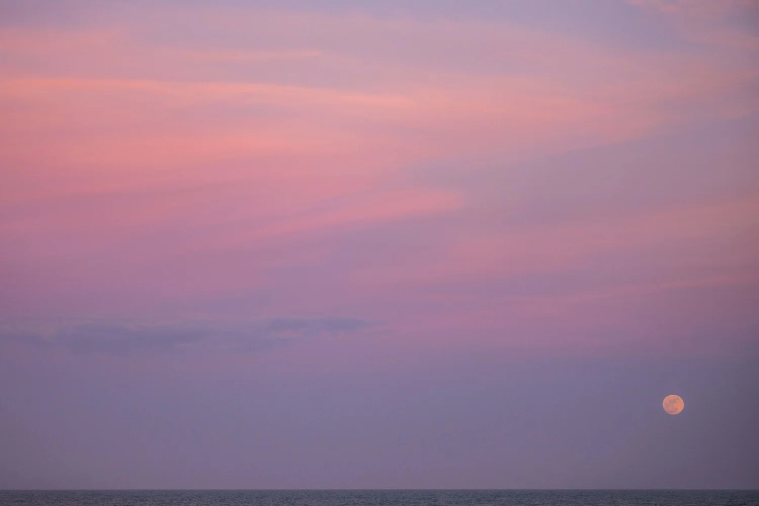 DSC_1015.jpg