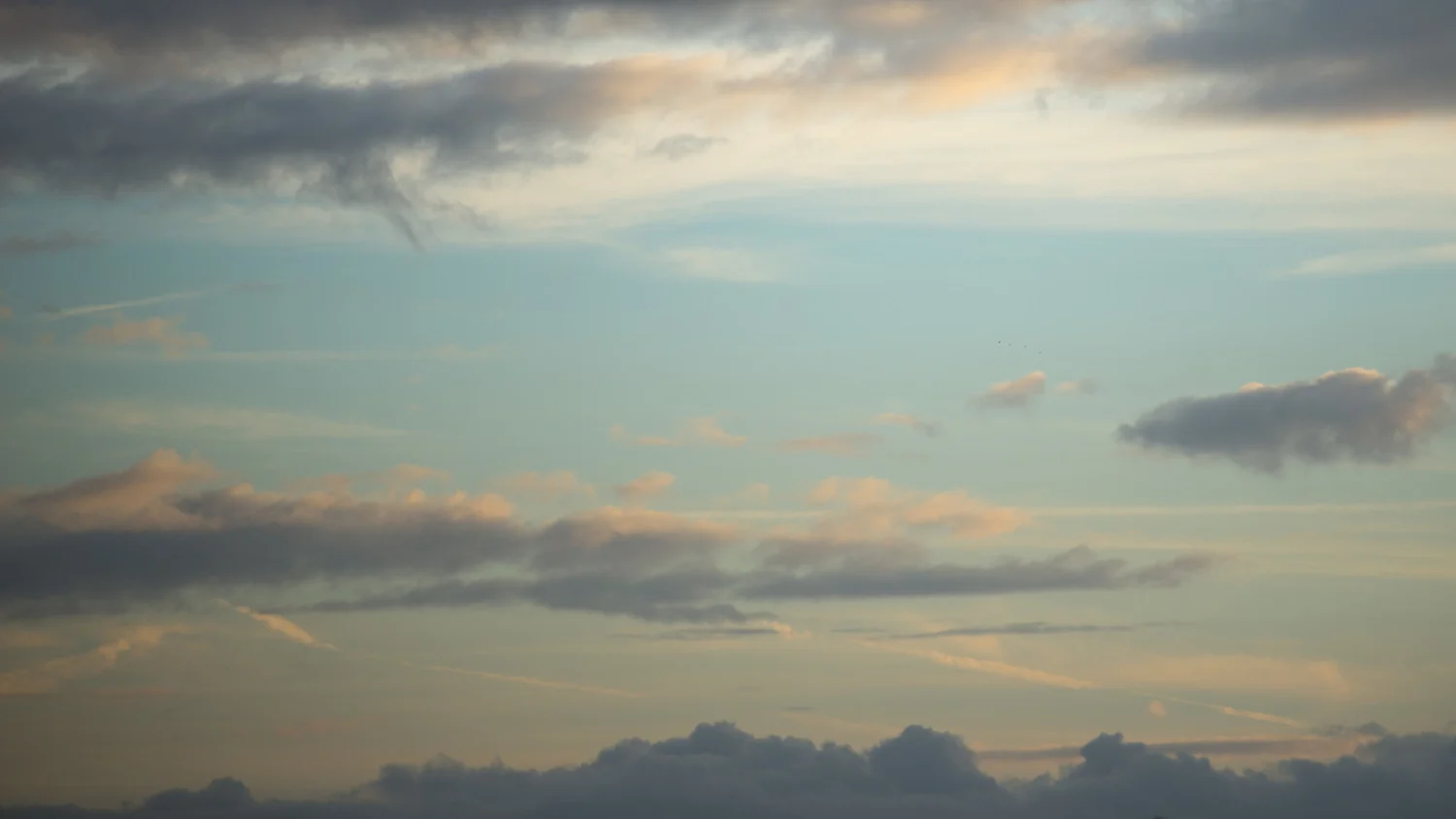 DSC_08051.jpg