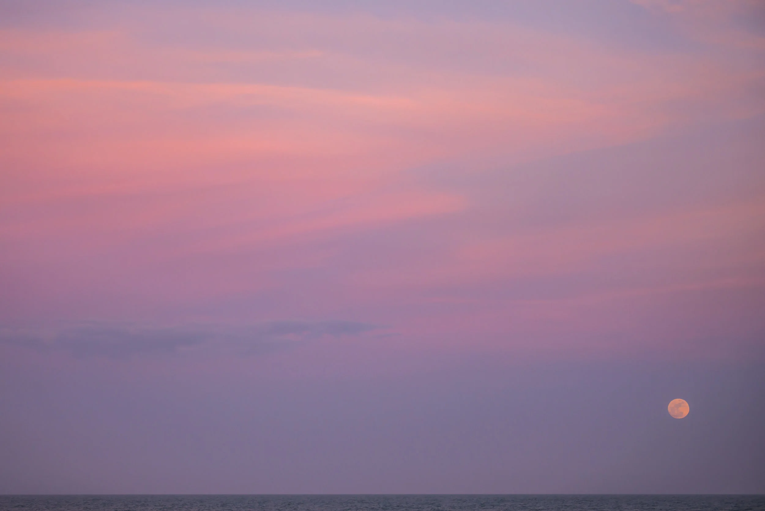 DSC_1015.jpg