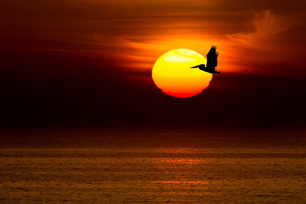_64D5528-Edit-Edit-Edit-Edit.jpg