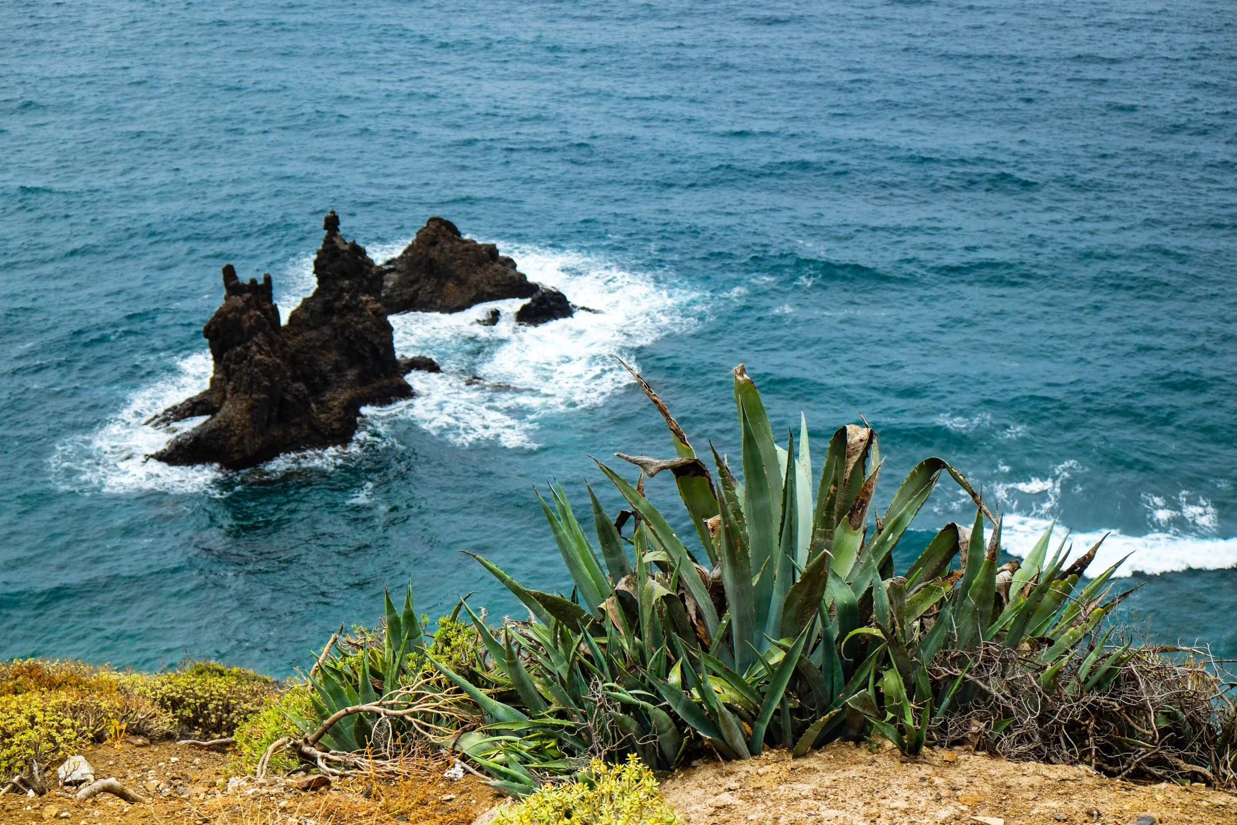 DSCF1686.jpg