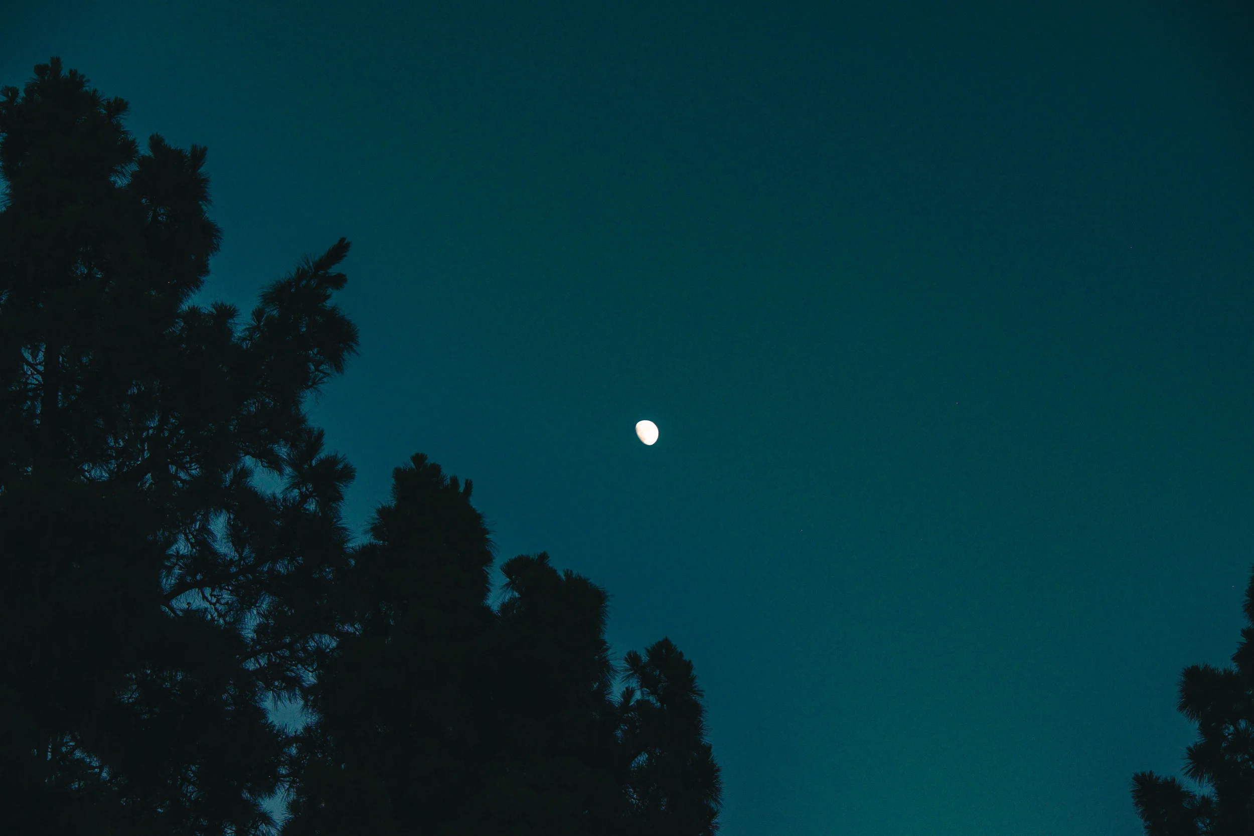 DSCF2338.jpg