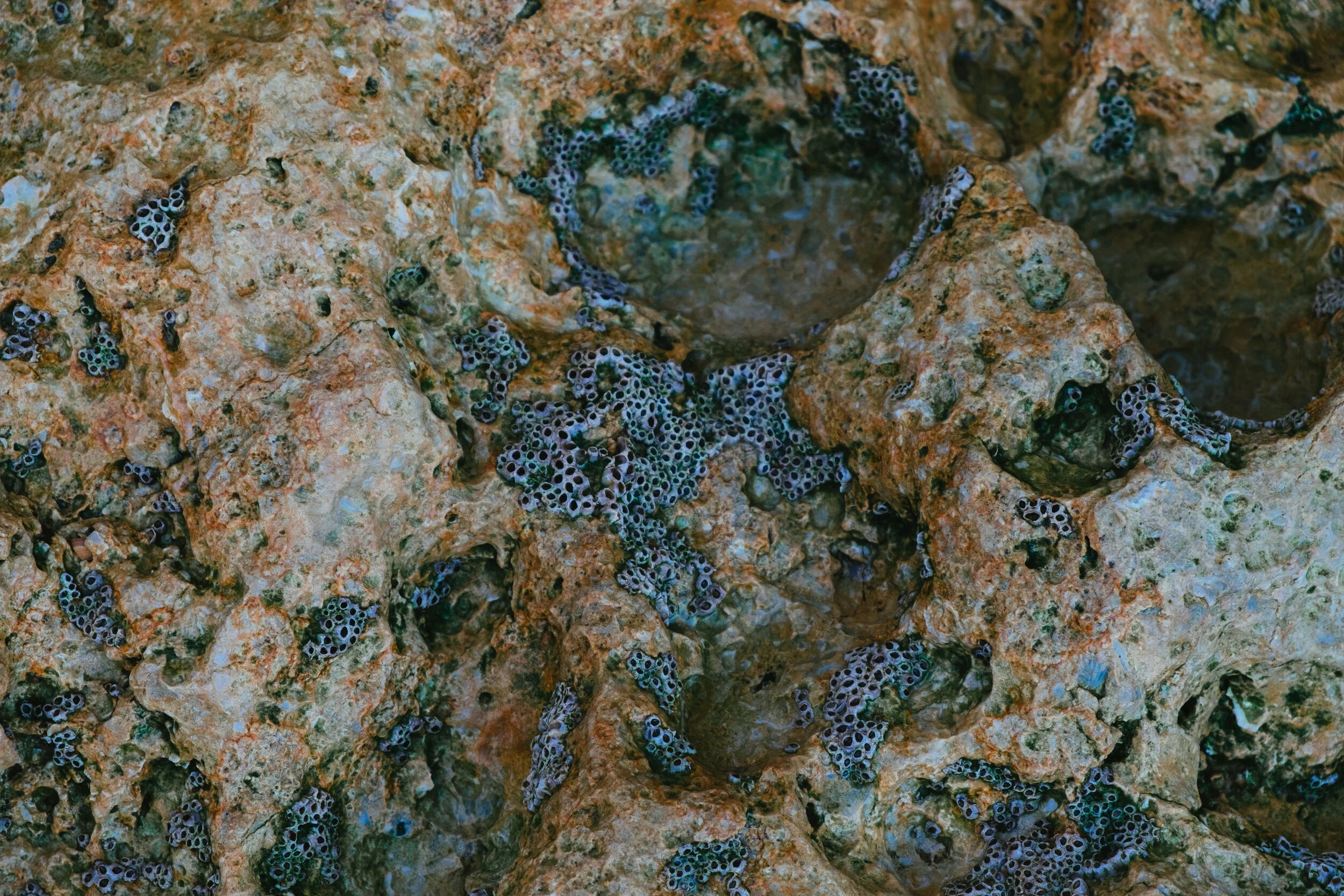 DSCF5217.jpg