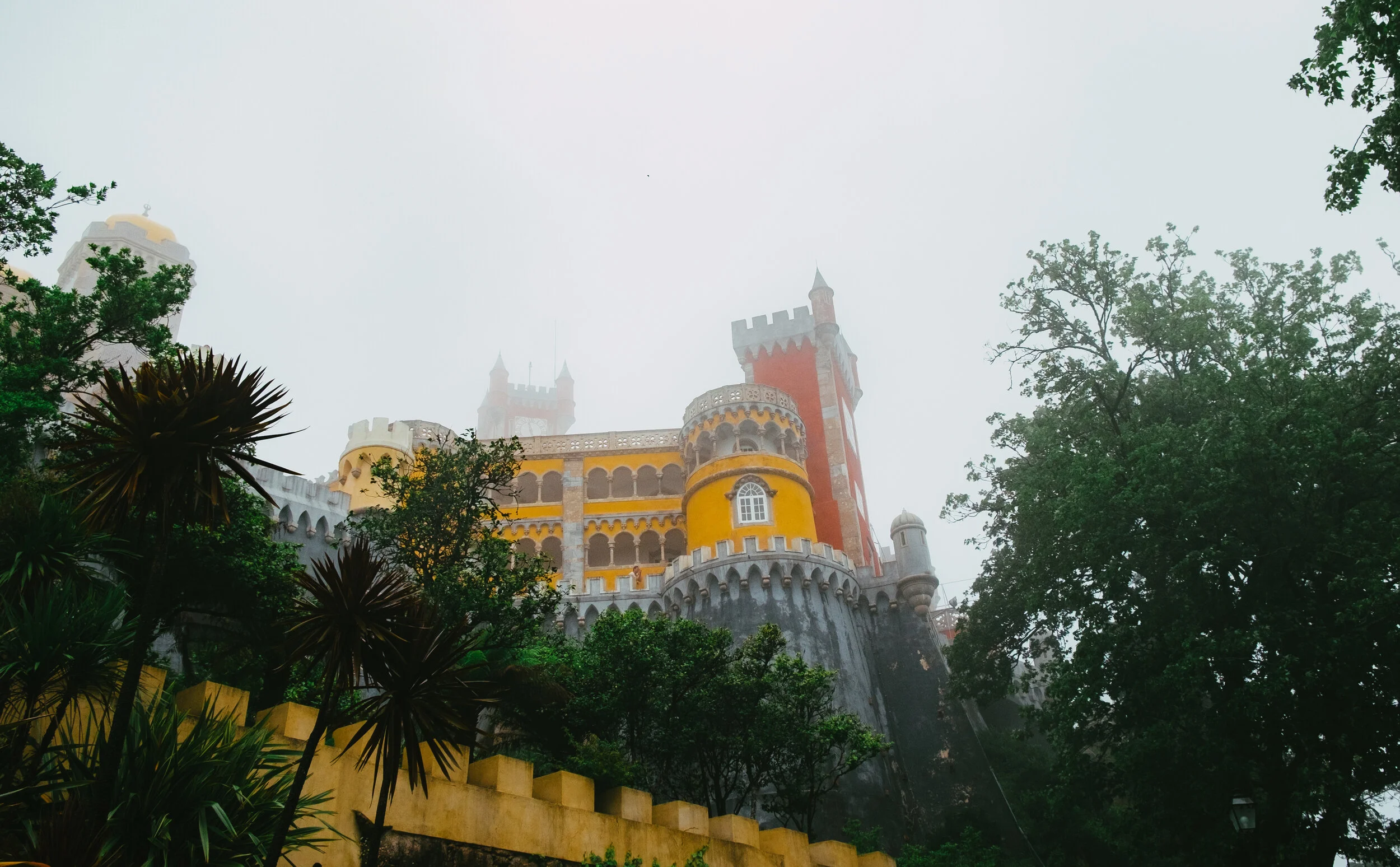 DSCF5825.jpg